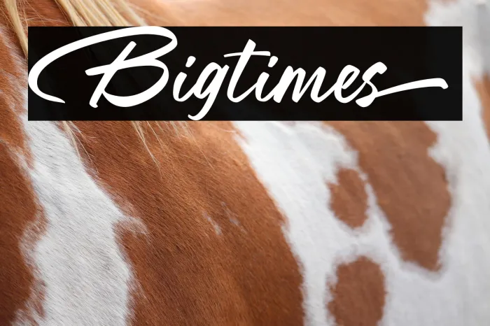 Bigtimes Example 3