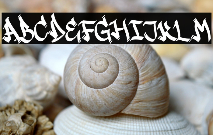 Bigwogs GT Demo Example 1