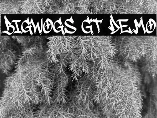 Bigwogs GT Demo Font examples