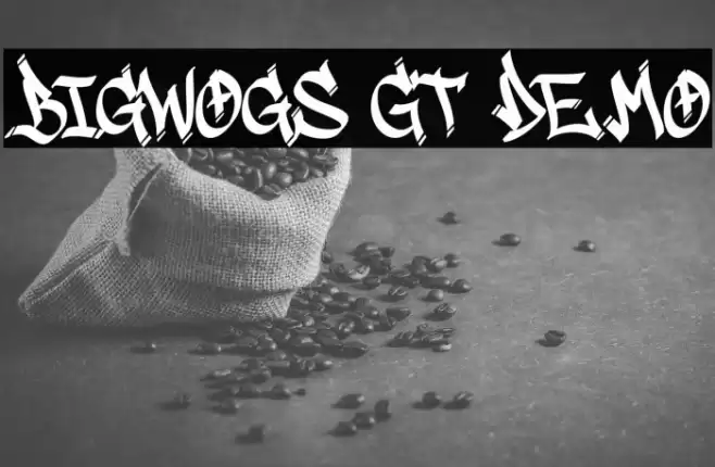 Bigwogs GT Demo Font examples