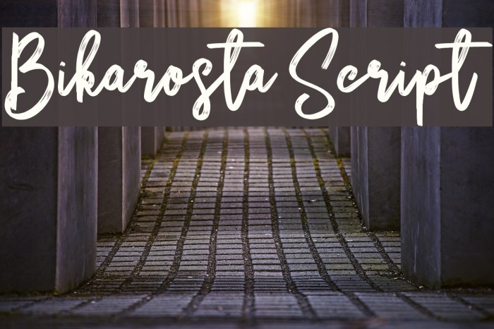 Bikarosta Script Font examples