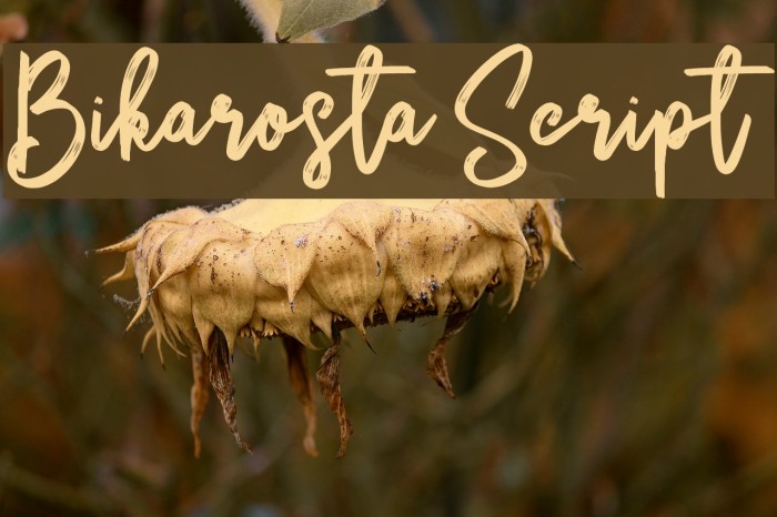 Bikarosta Script Font examples