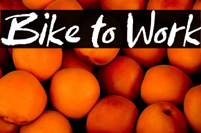 Bike to Work Example 1