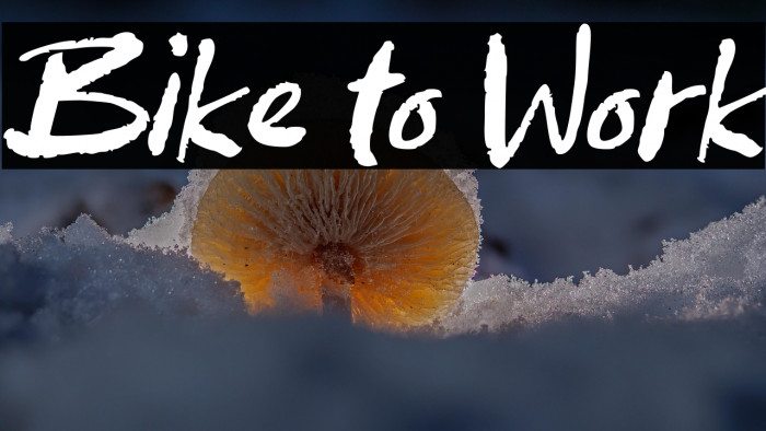 Bike to Work Example 2