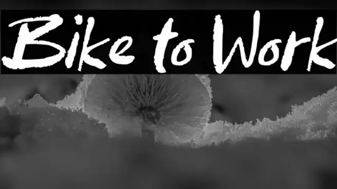 Bike to Work Font examples