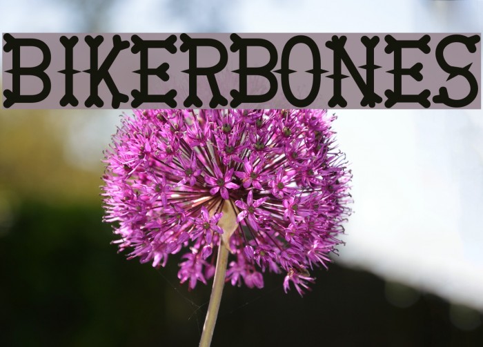 BikerBones Font examples
