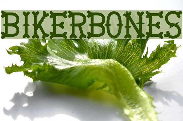 BikerBones Font examples