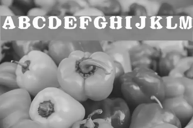 Bikini Font examples