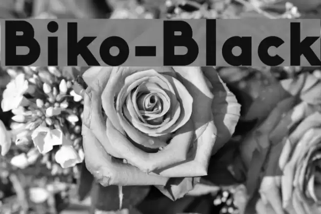 Biko-Black Font examples