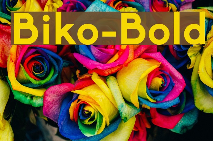Biko-Bold Font examples