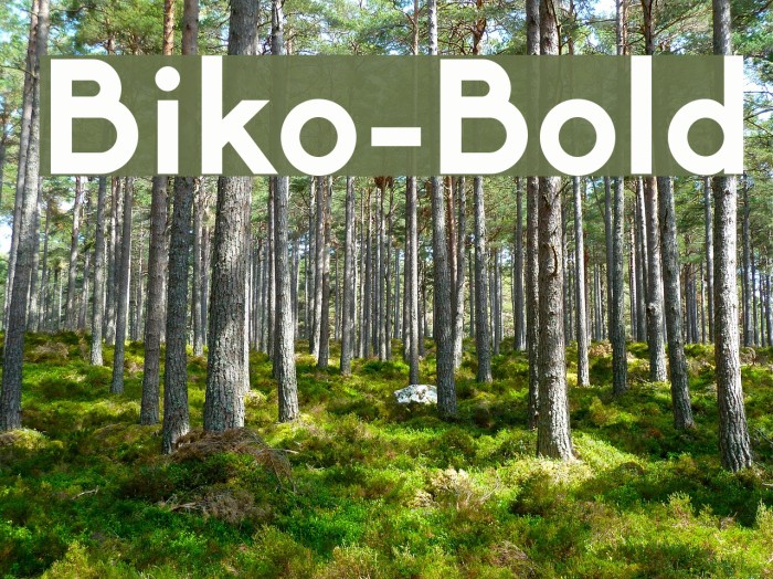 Biko-Bold Font examples