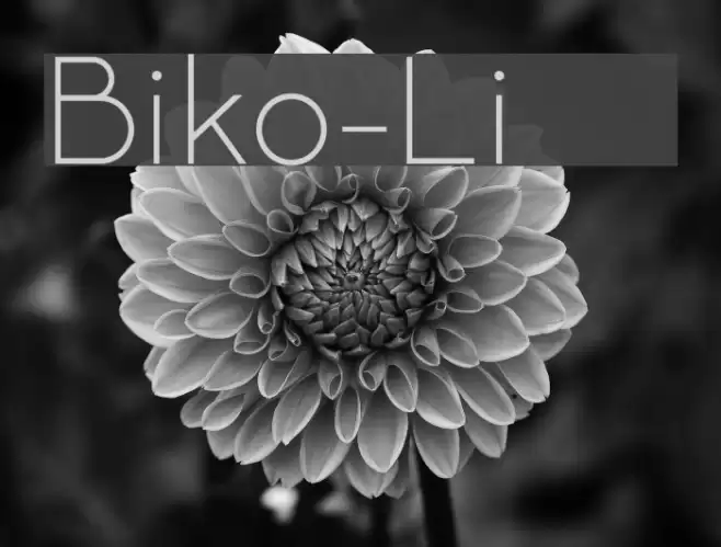 Biko-Light Font examples