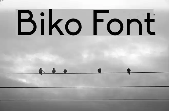 Biko Font examples