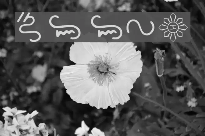 Bikol Mintz Font examples