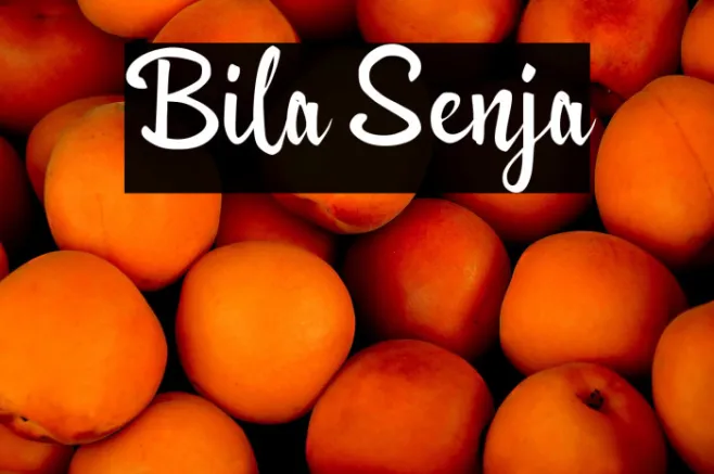 Bila Senja Example 2