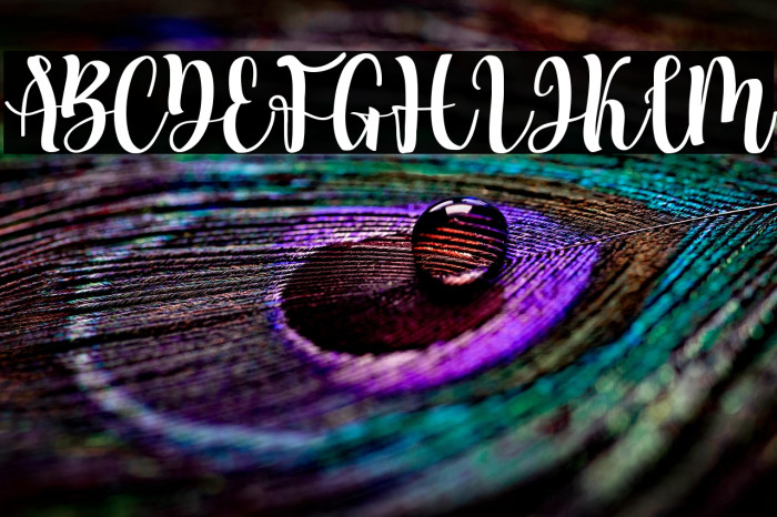 Bila Seyka Regular Example 3