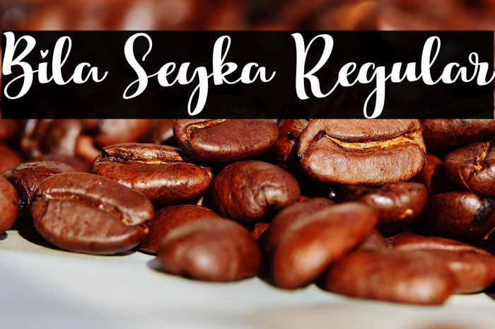 Bila Seyka Regular Example 1