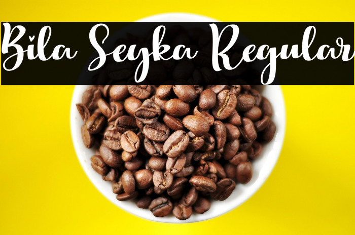 Bila Seyka Regular Example 2