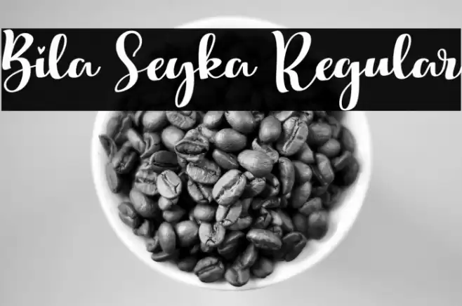 Bila Seyka Regular Font examples