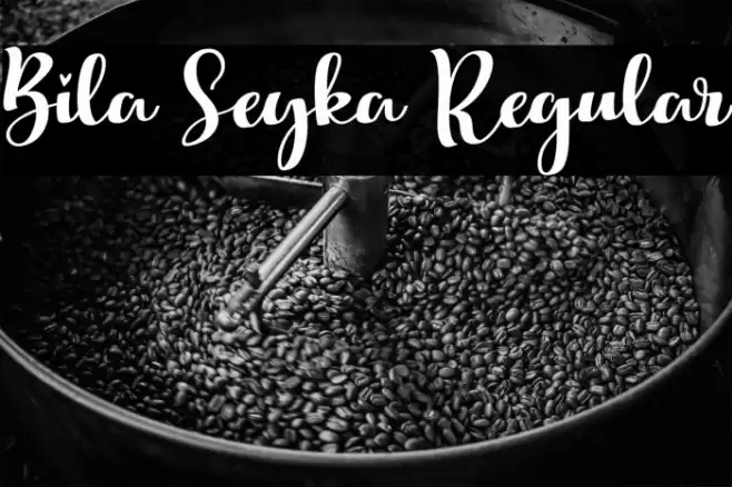 Bila Seyka Regular Font examples