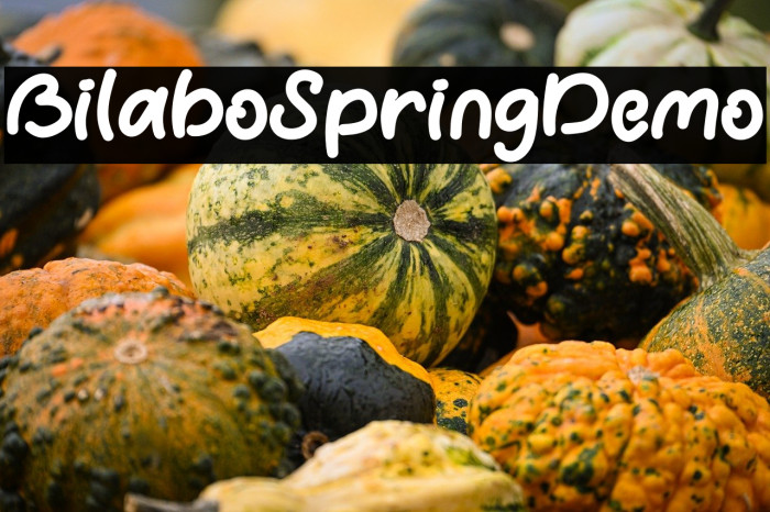 Bilabo Spring Demo Example 1