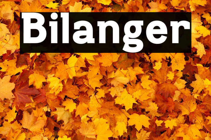 Bilanger Example 1