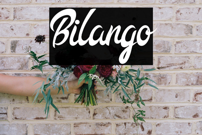 Bilango Example 3
