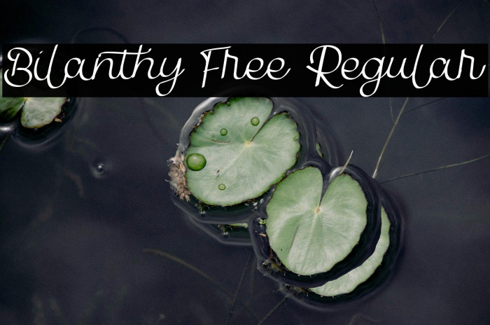 Bilanthy Free Regular Example 1