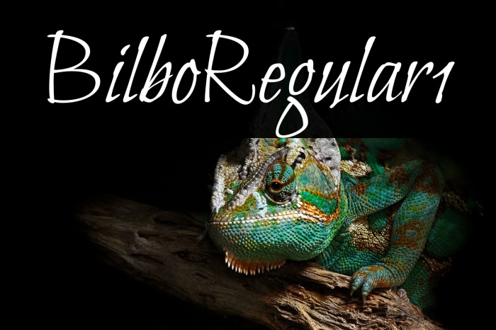 Bilbo-Regular1 Example 2