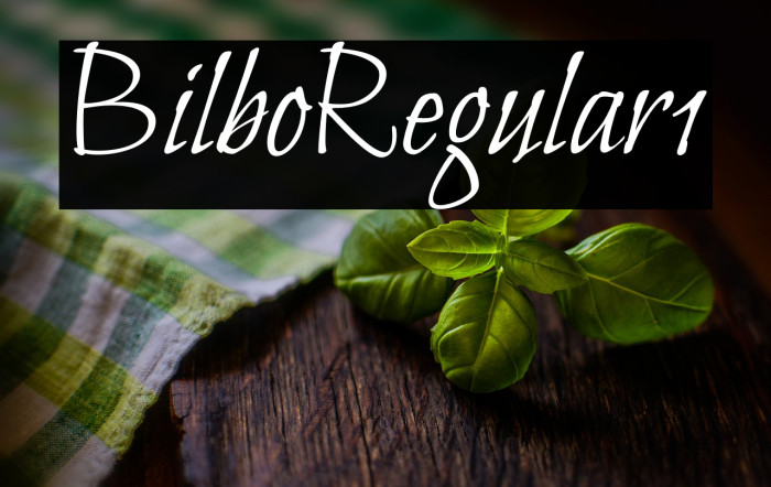 Bilbo-Regular1 Example 3