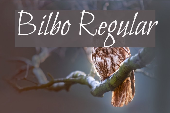 Bilbo Regular Font examples
