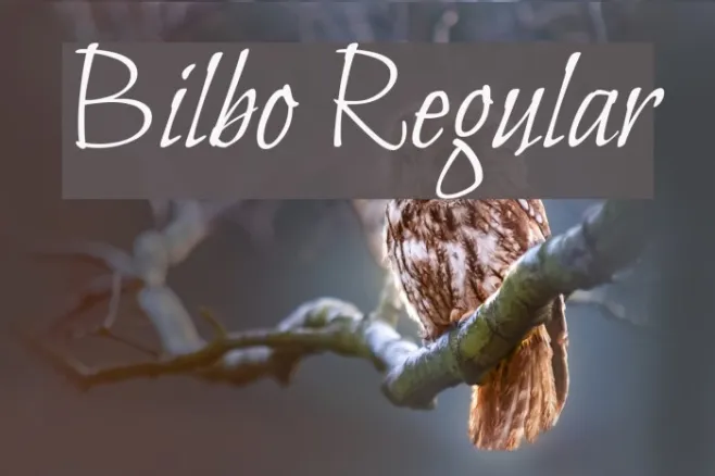 Bilbo Regular Example 2