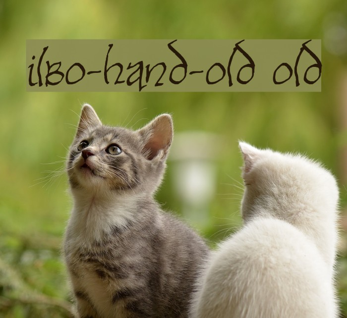 Bilbo-hand-Bold Bold Font examples