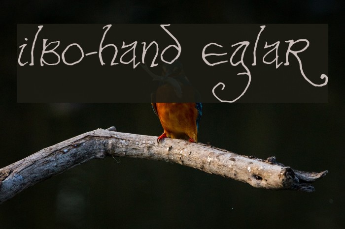 Bilbo-hand Regular Font examples