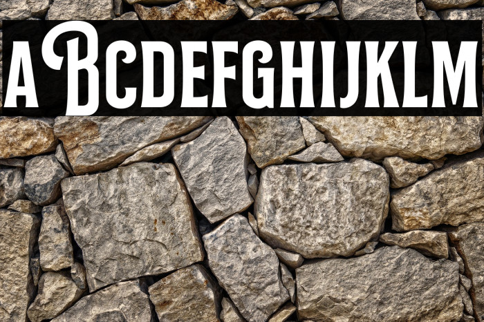 Bilcase Demo Demo Example 1