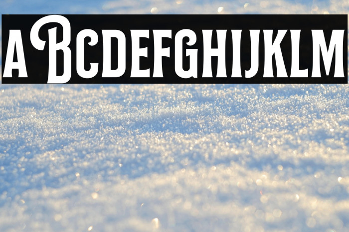 Bilcase Demo Demo Example 3