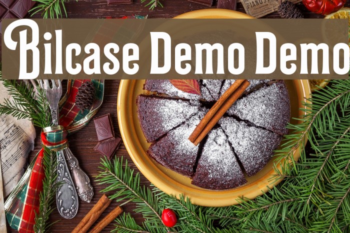 Bilcase Demo Demo Font examples