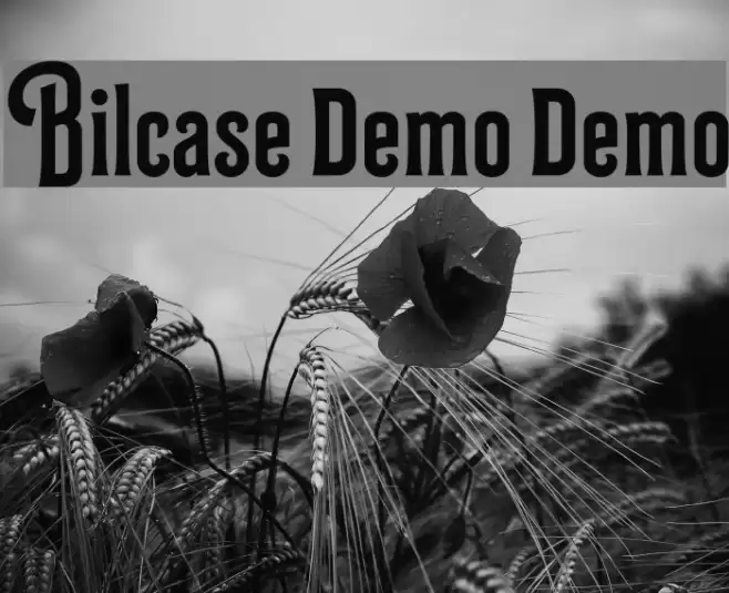 Bilcase Demo Demo Font examples