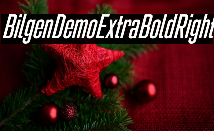 Bilgen Demo Extra Bold Right Example 1