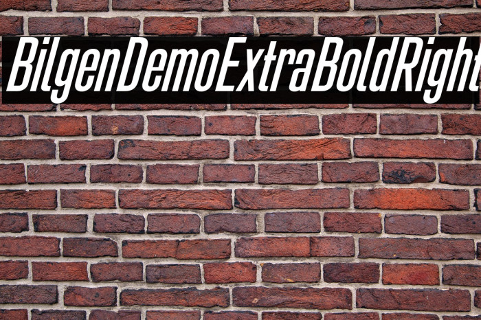 Bilgen Demo Extra Bold Right Example 3