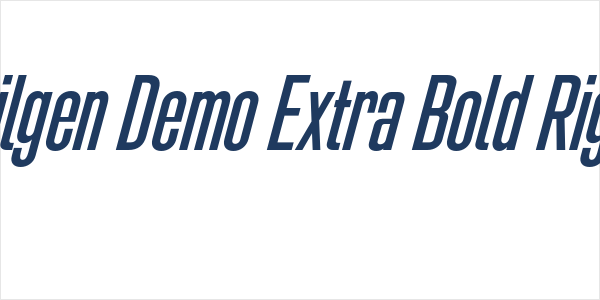Bilgen Demo Extra Bold Right Logo