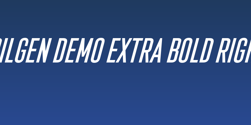 Bilgen Demo Extra Bold Right Social Header