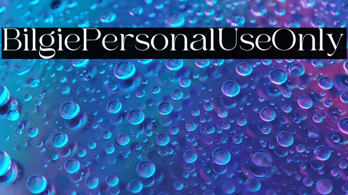 Bilgie Personal Use Only Example 1