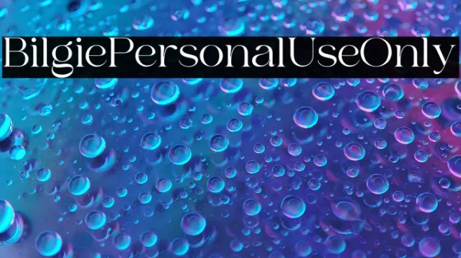 Bilgie Personal Use Only Example 1