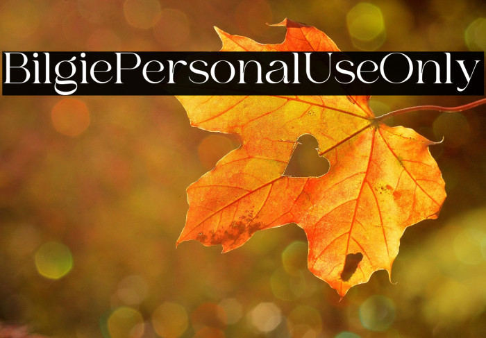 Bilgie Personal Use Only Example 3