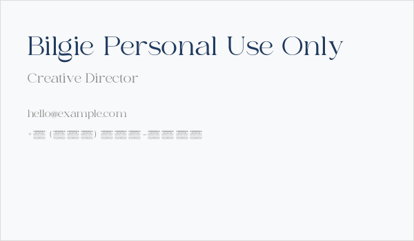 Bilgie Personal Use Only Business Card