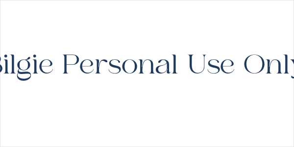 Bilgie Personal Use Only Logo