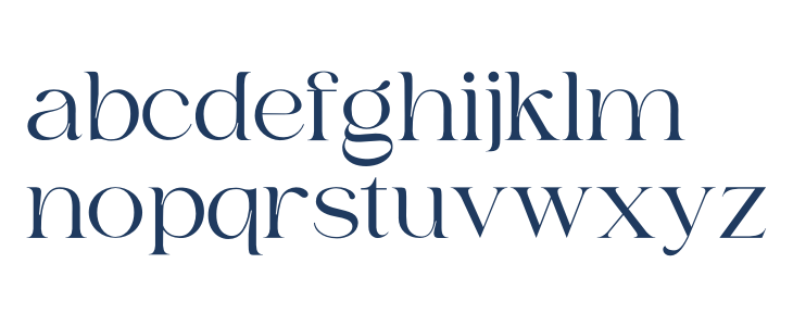 Bilgie Personal Use Only Lowercase