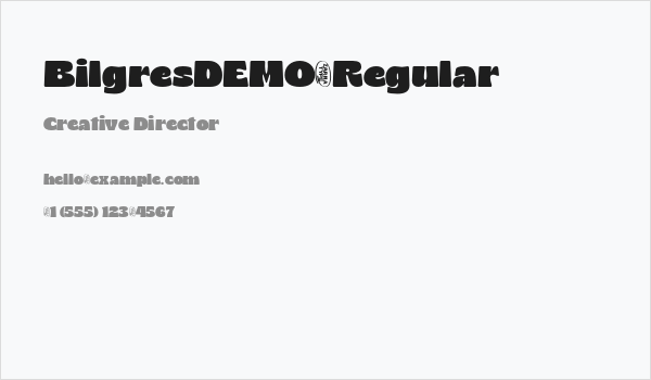BilgresDEMO-Regular Business Card