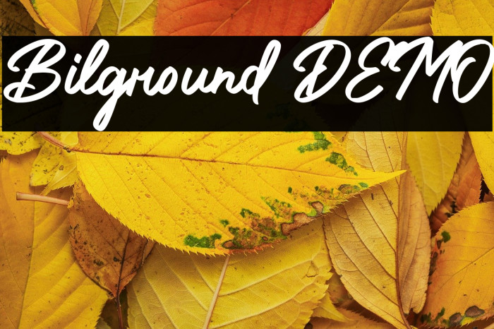 Bilground DEMO Example 1